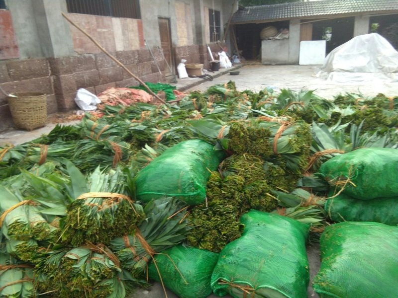 粽叶子，欢迎订货量大价格优惠