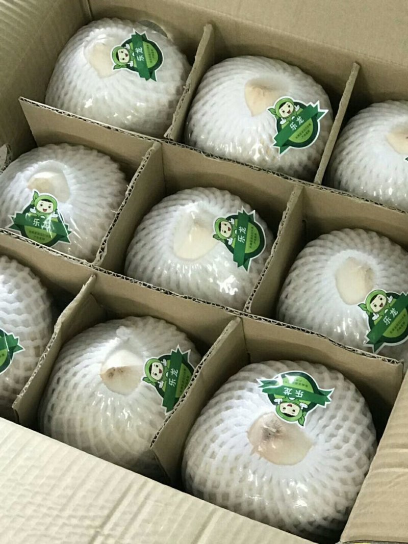 椰子