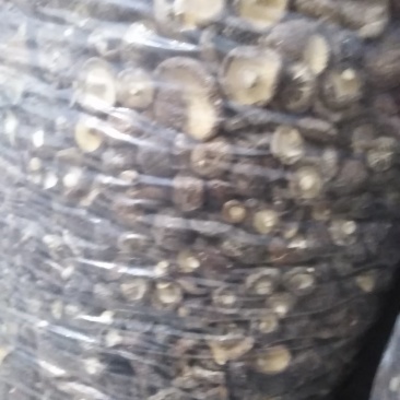 香菇，干香菇大量有货