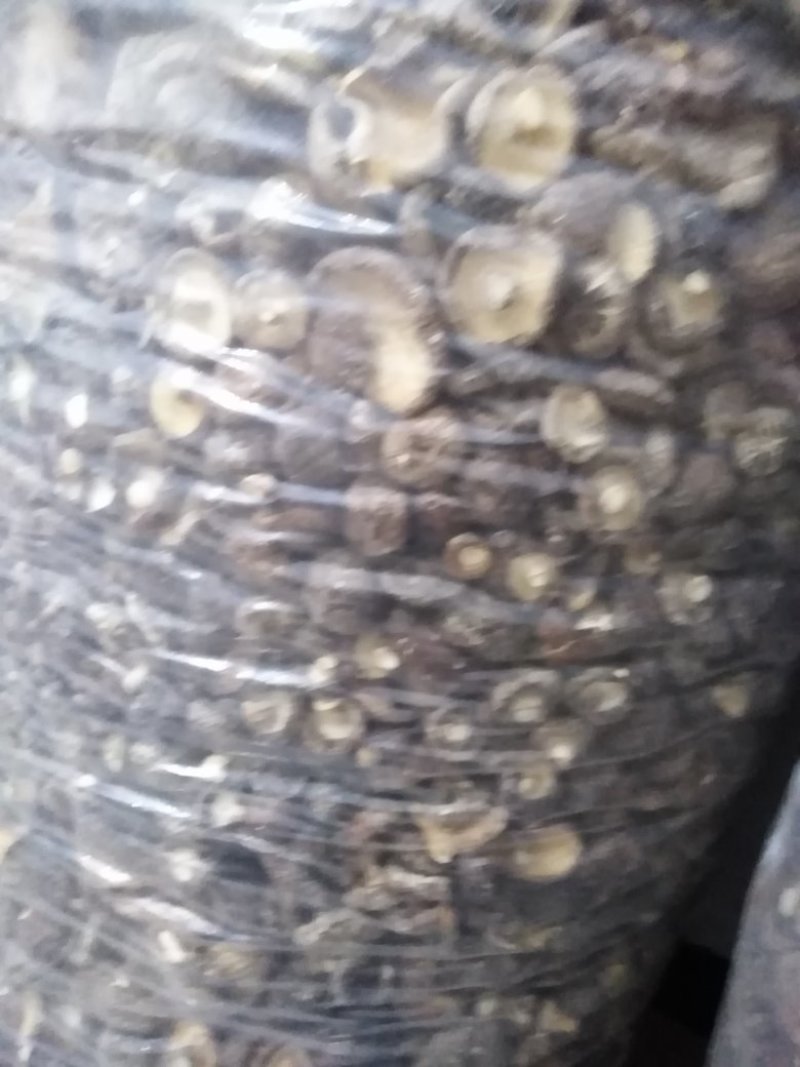 香菇，干香菇大量有货
