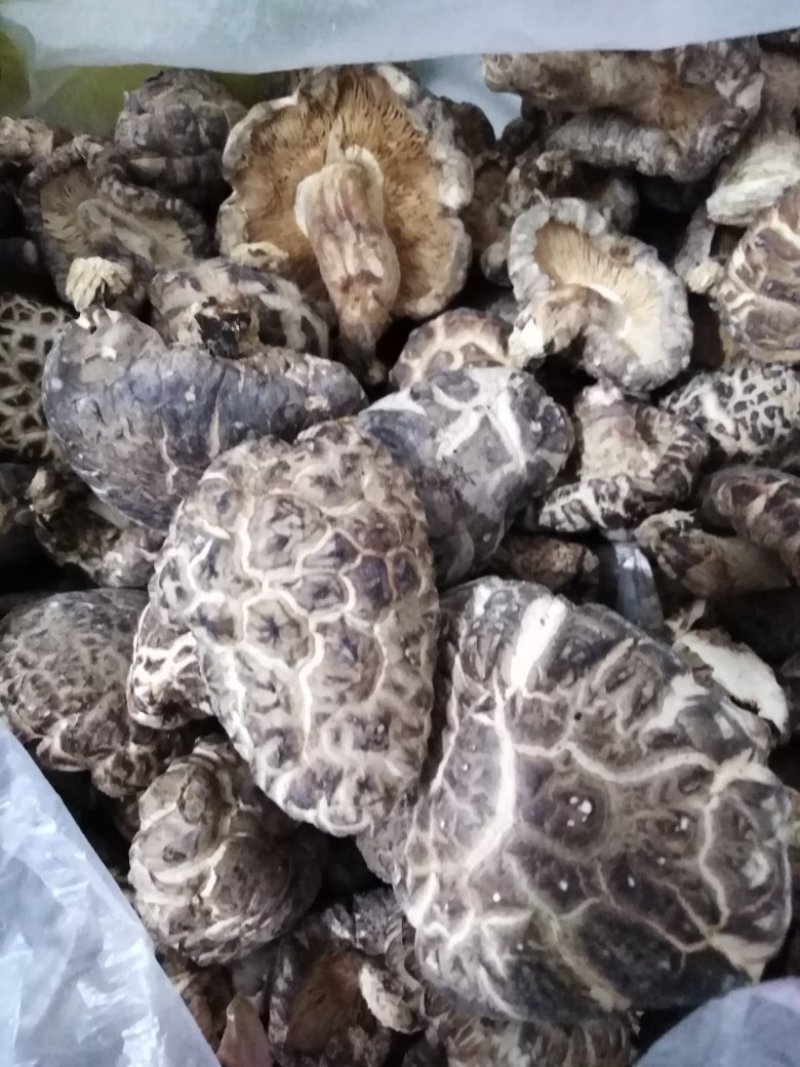 香菇，干香菇大量有货