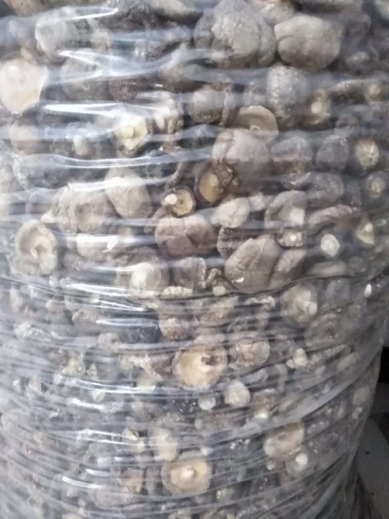 香菇，干香菇大量有货
