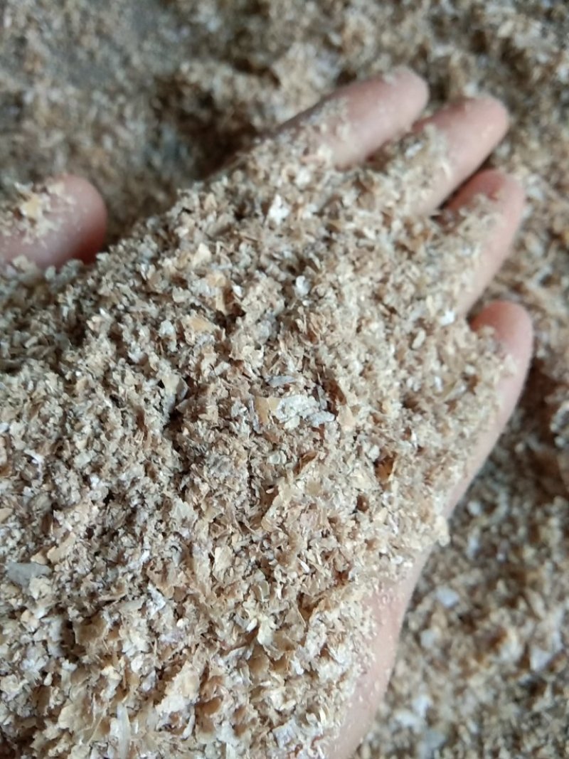优质麸皮