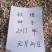 常年大量供应。枳橙。香橙。枳壳
