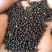 优质油菜籽1级新疆油菜籽大量上市厂家货源