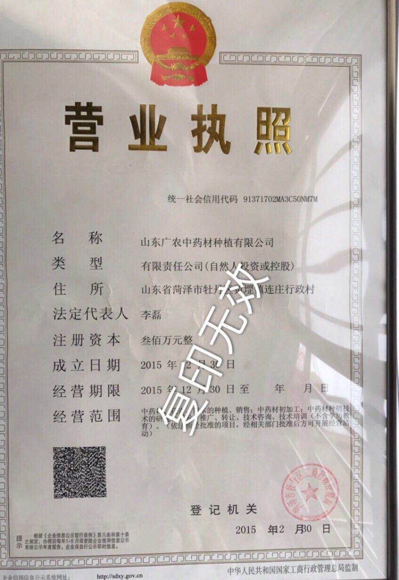 芍药种子95%以上，芍药种植基地，芍药籽