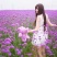 柳叶马鞭草种子热门花海种子简单易种可货到付款