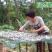 大别山特产500克野生小河鱼小咸鱼干小干鱼淡水白鱼干白刁
