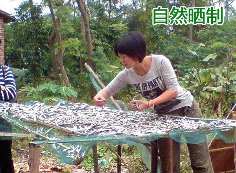 大别山特产500克野生小河鱼小咸鱼干小干鱼淡水白鱼干白刁