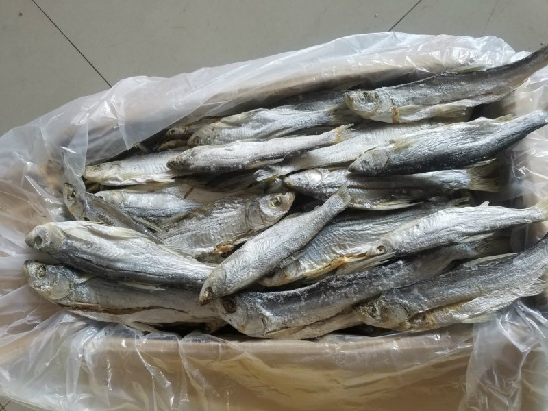 大别山特产500克野生小河鱼小咸鱼干小干鱼淡水白鱼干白刁