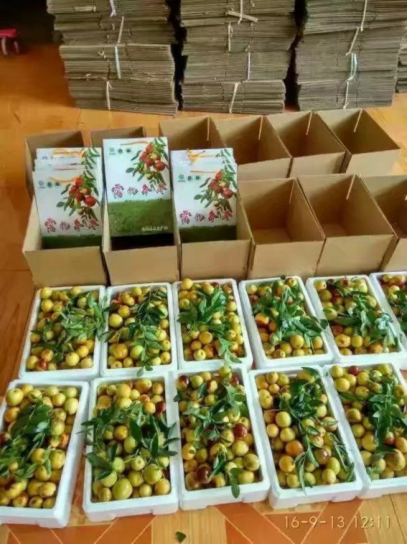 沾化冬枣，皮薄肉厚