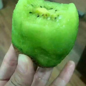 海沃德-优质猕猴桃