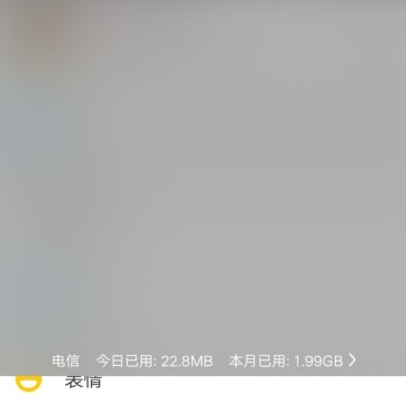 洋葱籽