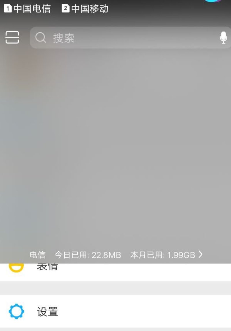 洋葱籽