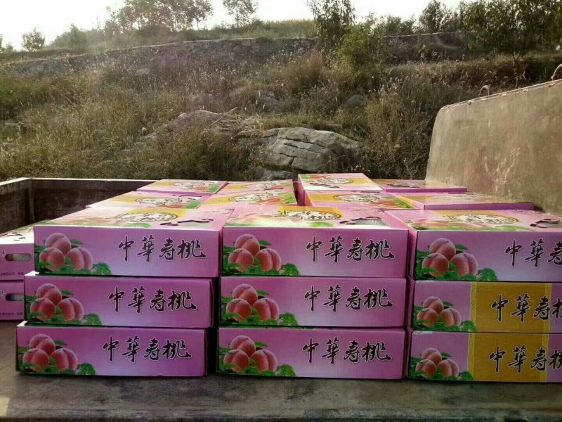 中华寿桃