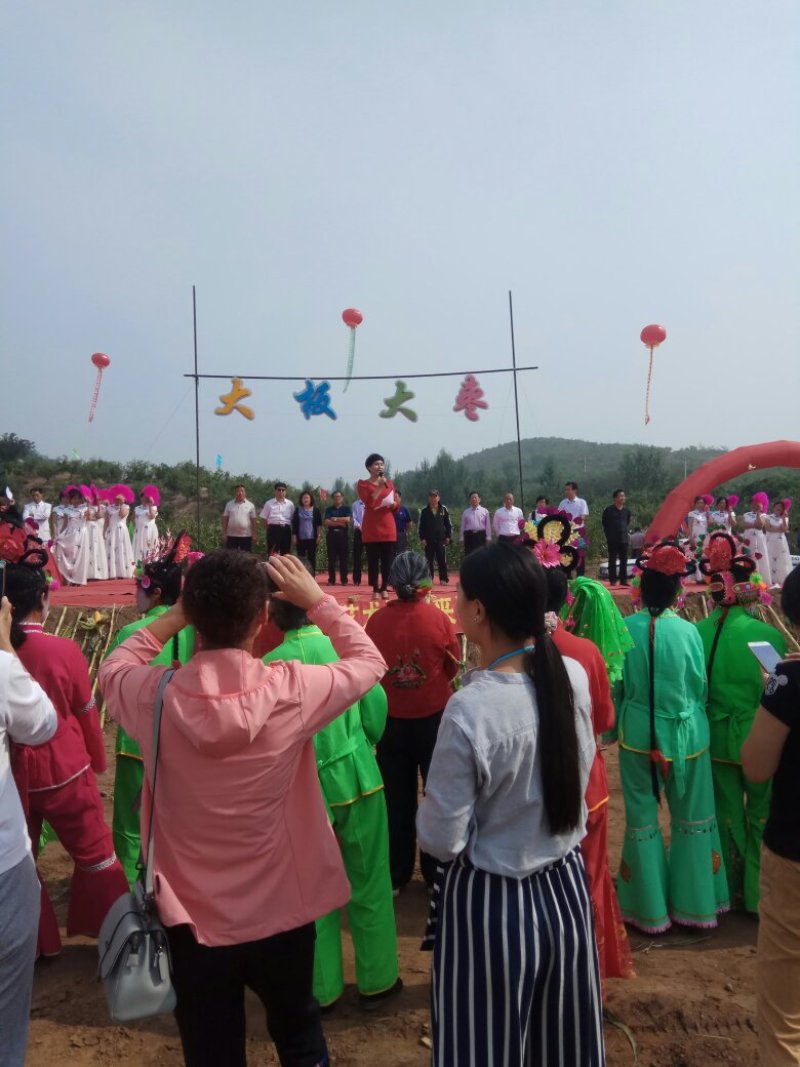 朝阳市大平房镇大板村