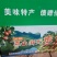 朝阳市大平房镇大板村