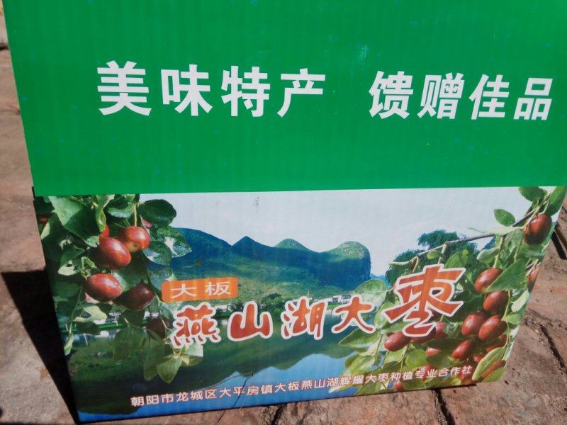 朝阳市大平房镇大板村