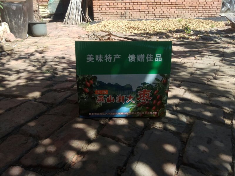 朝阳市大平房镇大板村