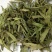 甜叶菊统货