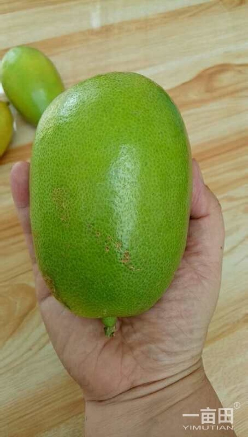 柠檬