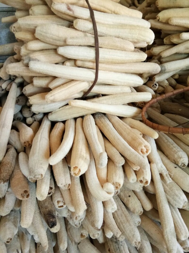 丝瓜络
