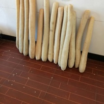 丝瓜络