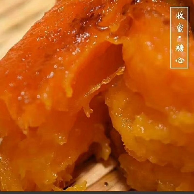 烟薯种植批发