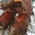 烟薯种植批发
