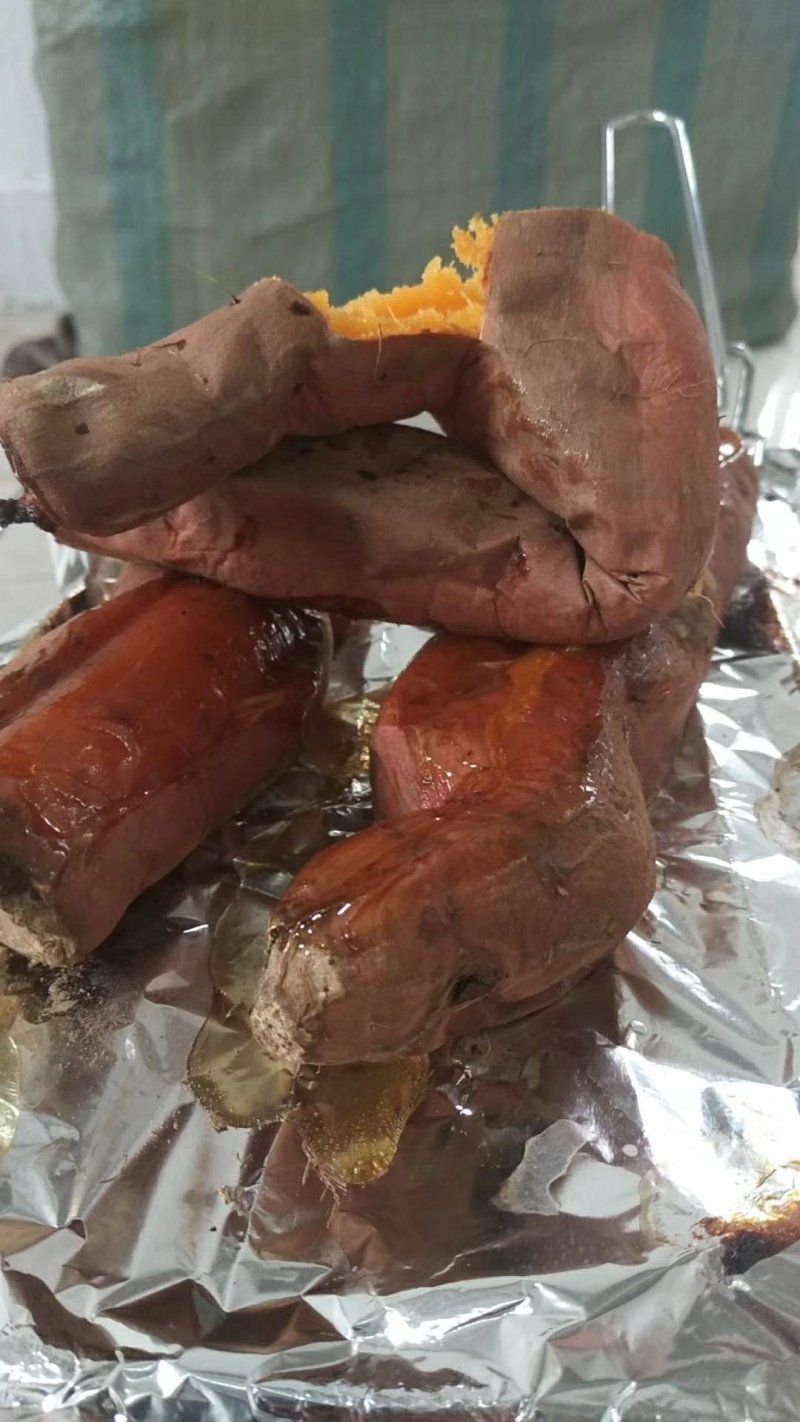 烟薯种植批发