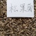 松果菊种子花海种子净籽6-8斤/亩可货到付款