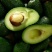 牛油果大果6个33包邮！