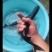 鱼苗，鱼苗，出售各种鱼苗
