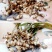 优质白及