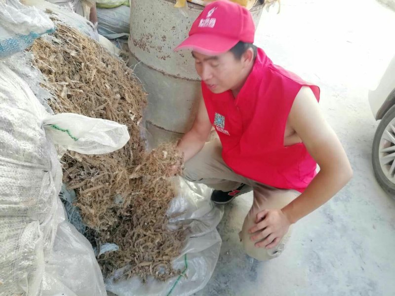 干黄姜火头根