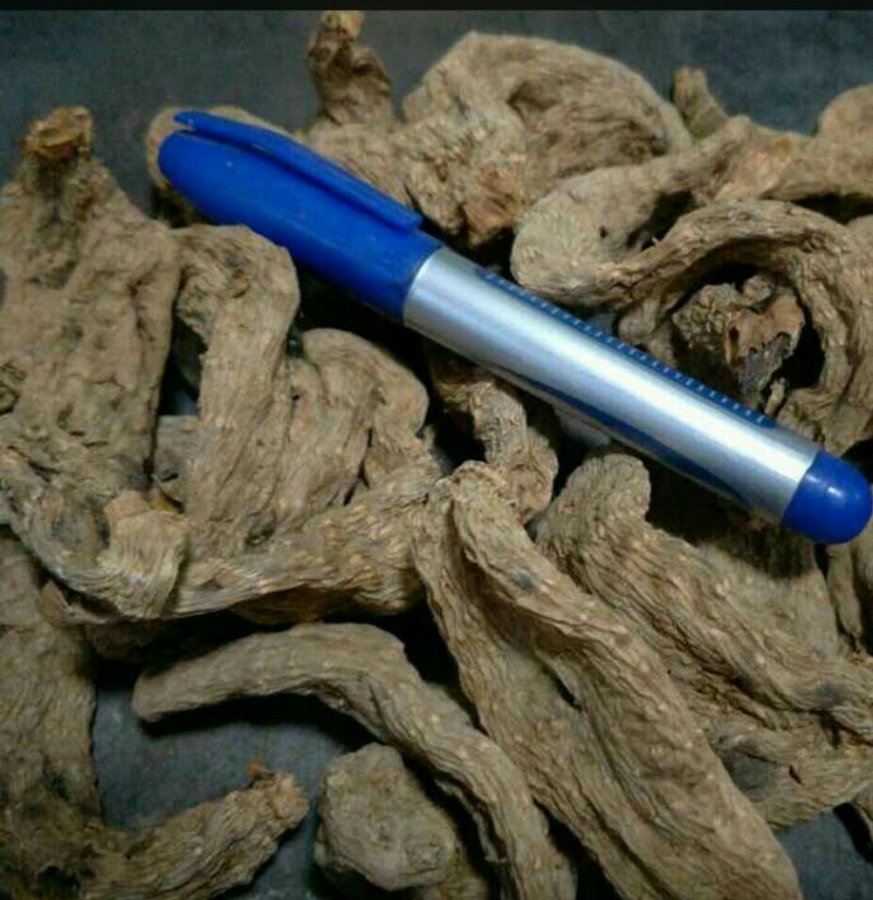 天麻