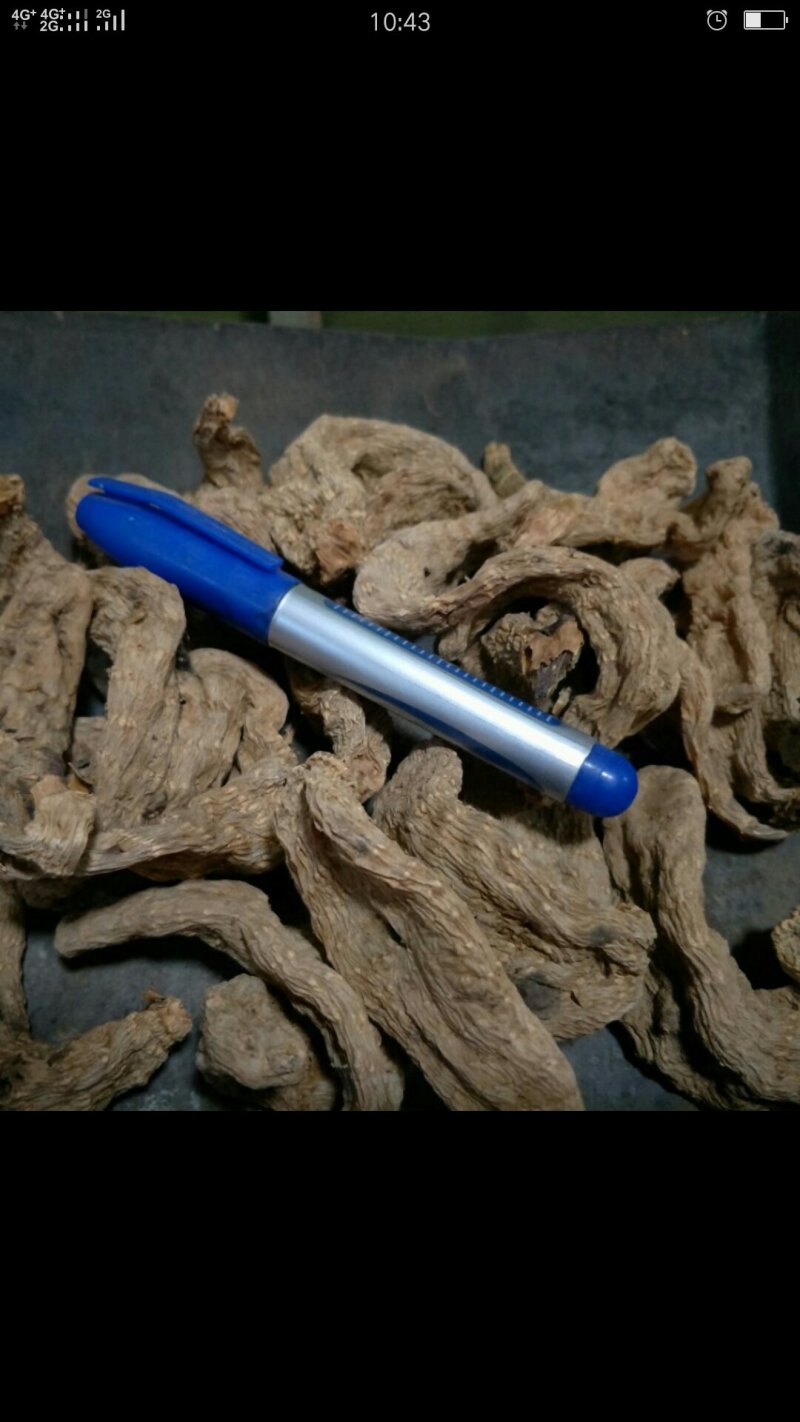 天麻