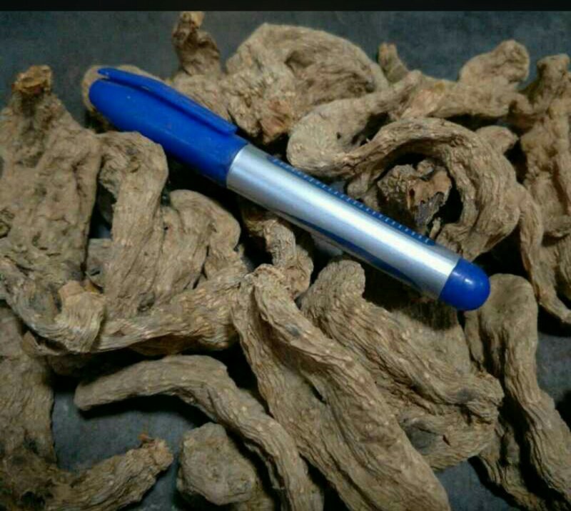 天麻
