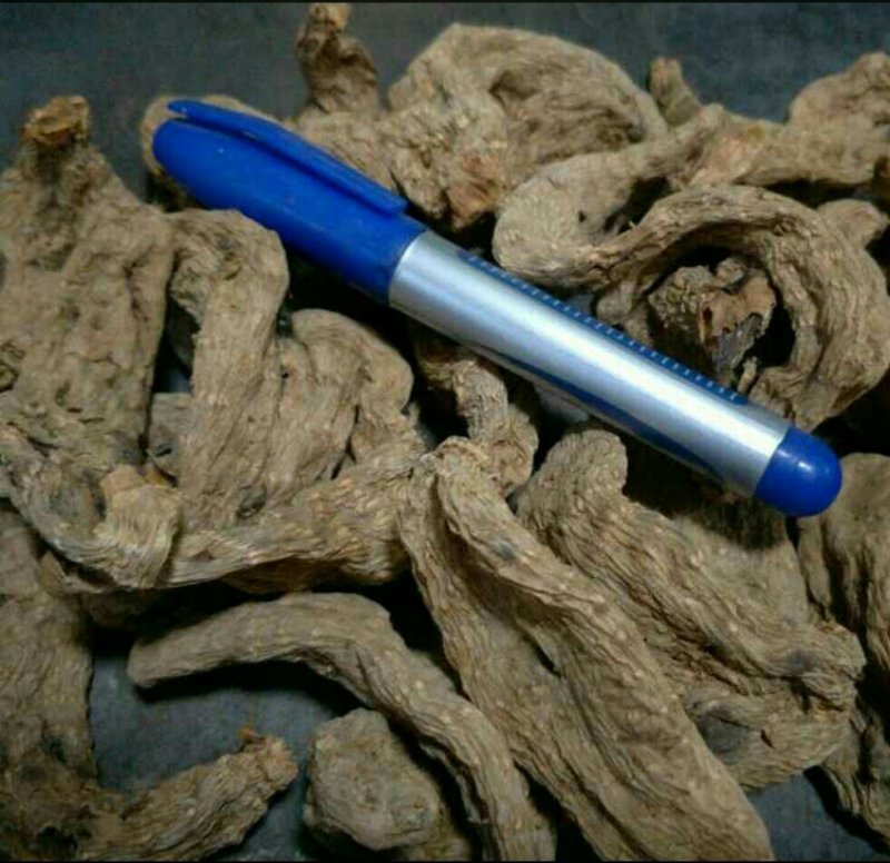 天麻