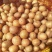 荷兰十五一级种薯1-3两小货