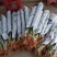 海南富贵竹基地直发带根观音竹莲花竹荷花竹批发水培莲花水竹