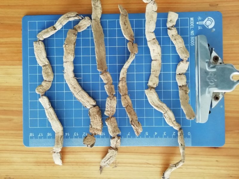 巴戟三级条