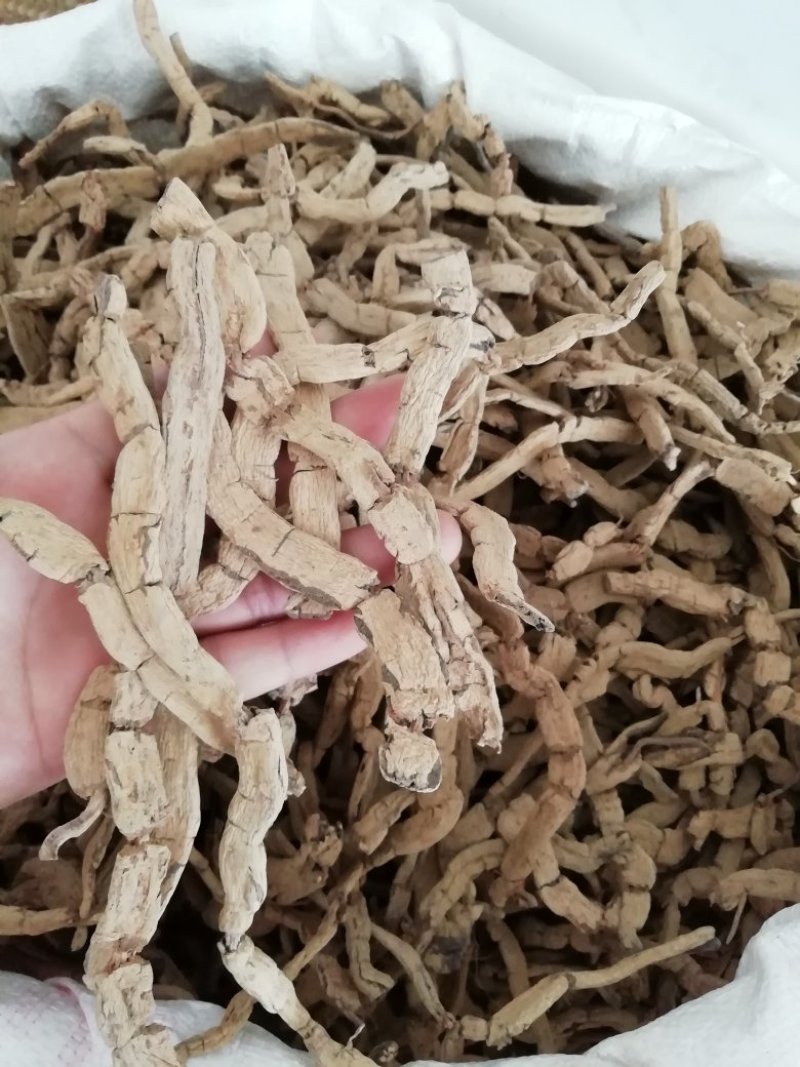 巴戟三级条