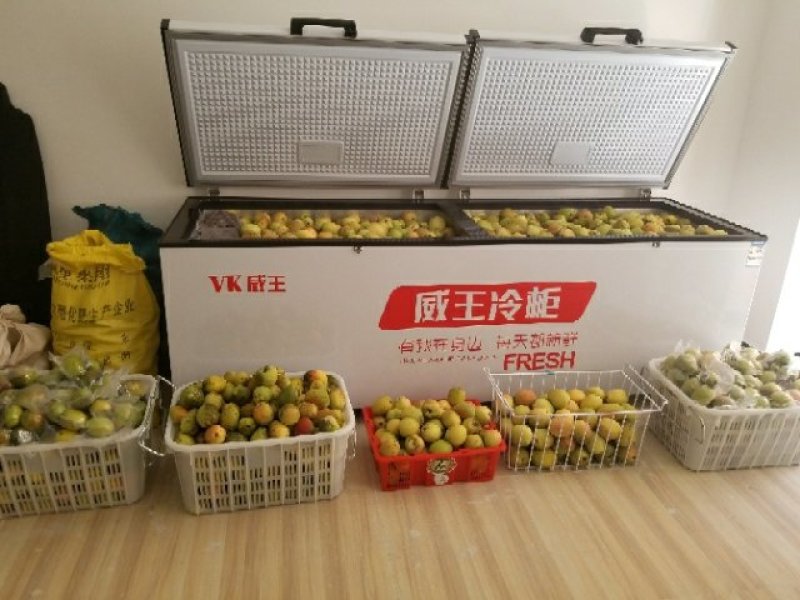 云南临沧山地酸木瓜