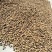 绿色食品