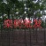 江西精品黄山栾树基地5一20批发，现货长期有效。