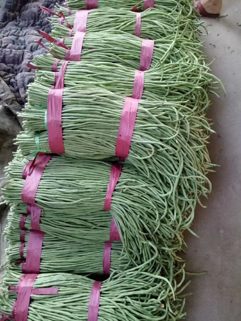 豆角长度40公分到70公分！青绿色.白不老.四季美，