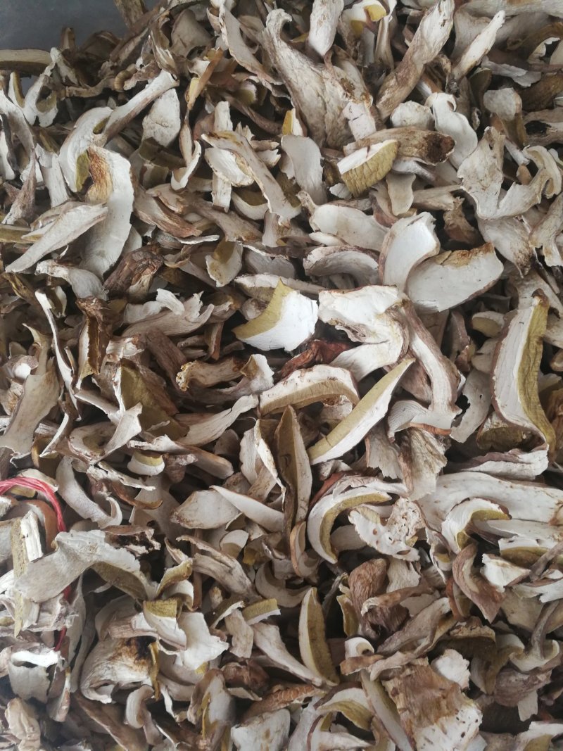 牛肝菌