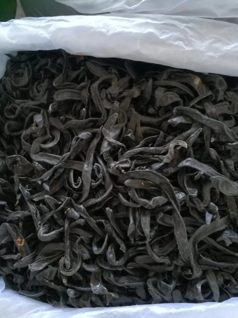 中药材水蛭生水蛭水蛭干蚂蝗蚂蟥干