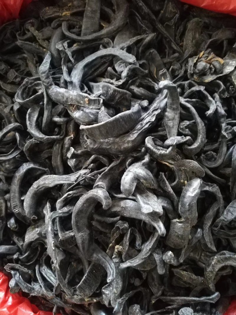 中药材水蛭生水蛭水蛭干蚂蝗蚂蟥干